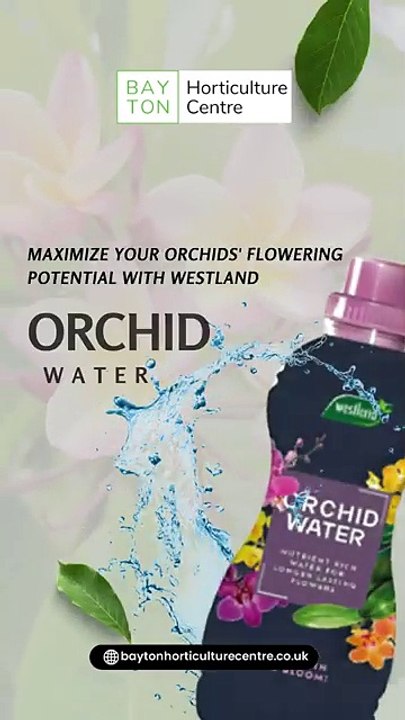 Discover the Amazing Benefits of Orchid Water for Your Health 🌸