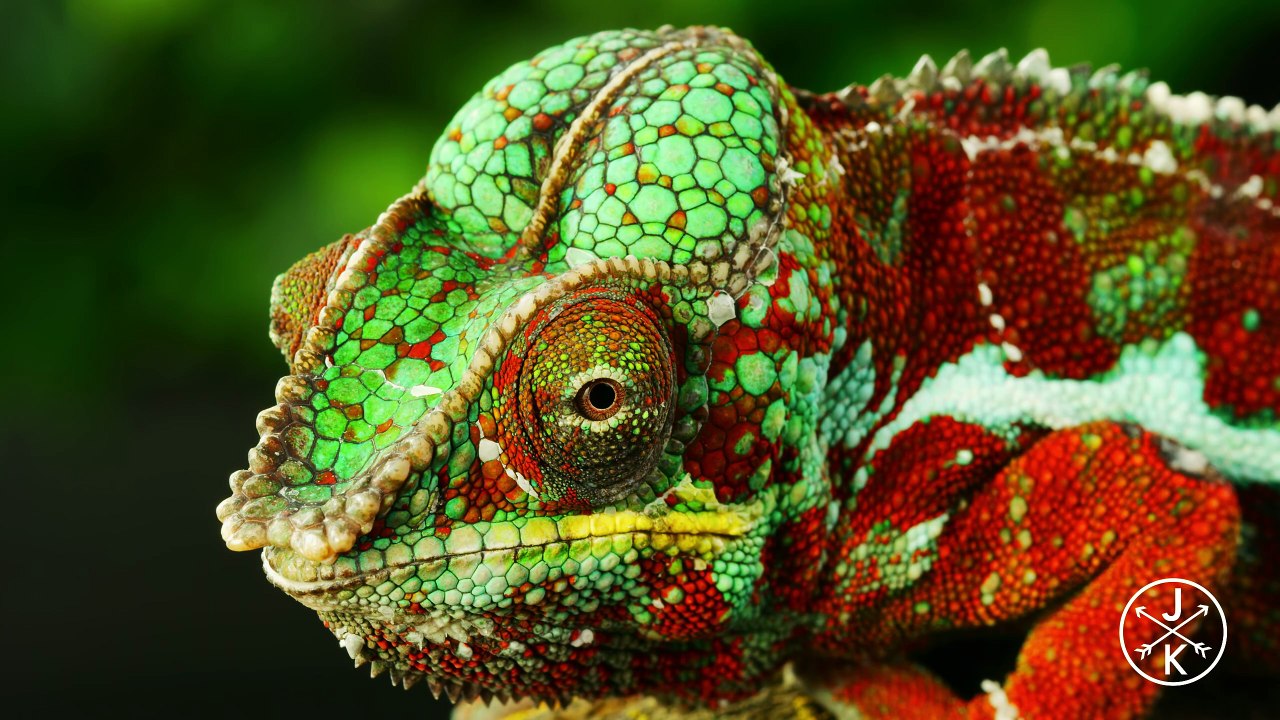 Best of 8K HDR 60p (FUHD) | DB MEDIA | HD 8K