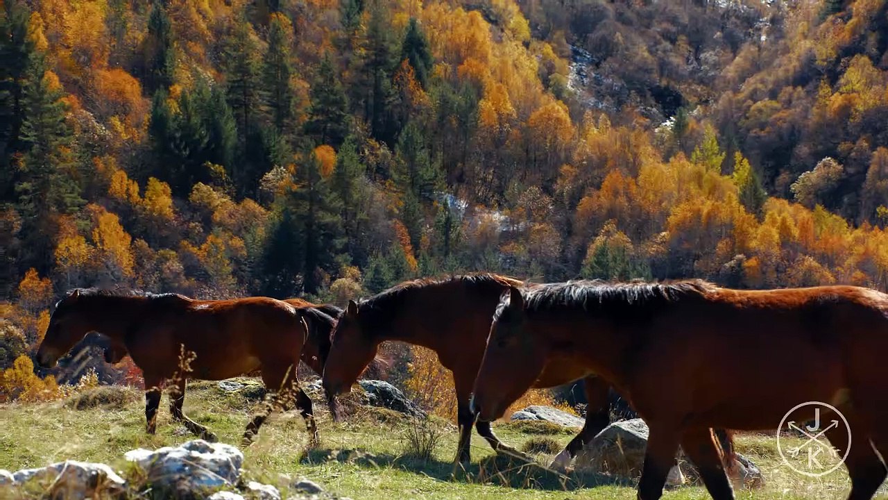 Georgia in 8K 60p   HDR | DB MEDIA