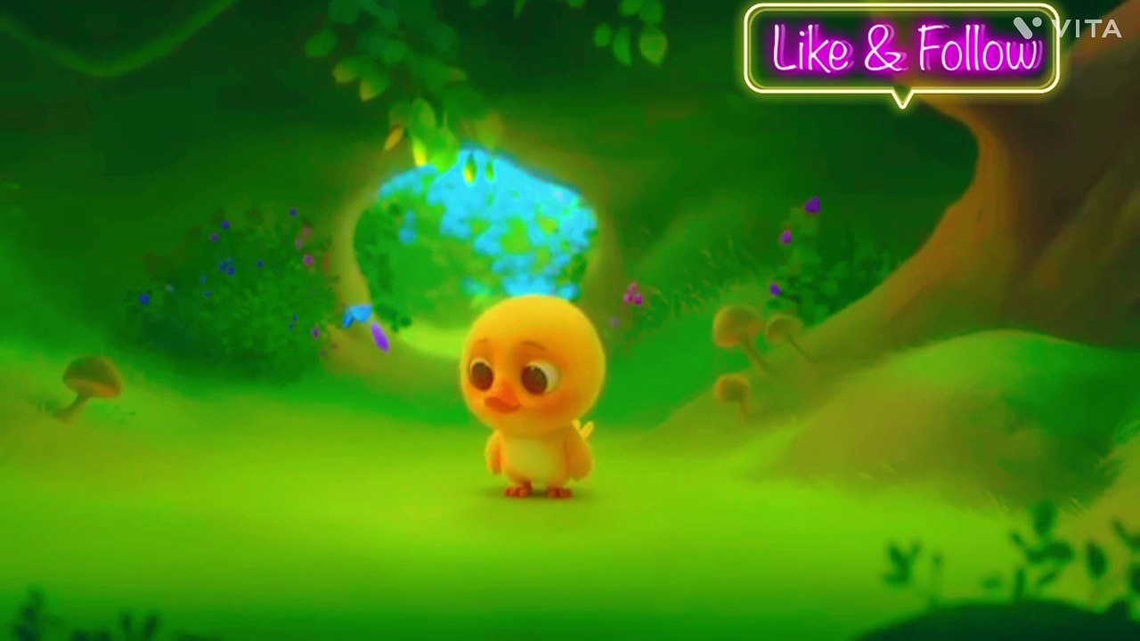 Videos | Short video | funny | chicks | animals |  animal