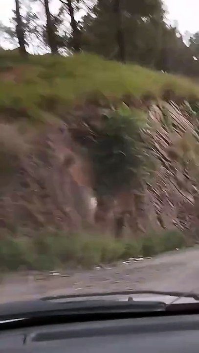 Pakistan Tour 2024-39