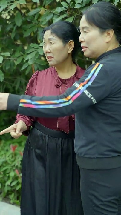 【最新短剧合集】 新版：鸠占鹊巢