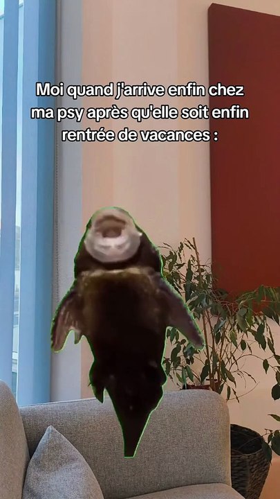 Le débit est impressionnant