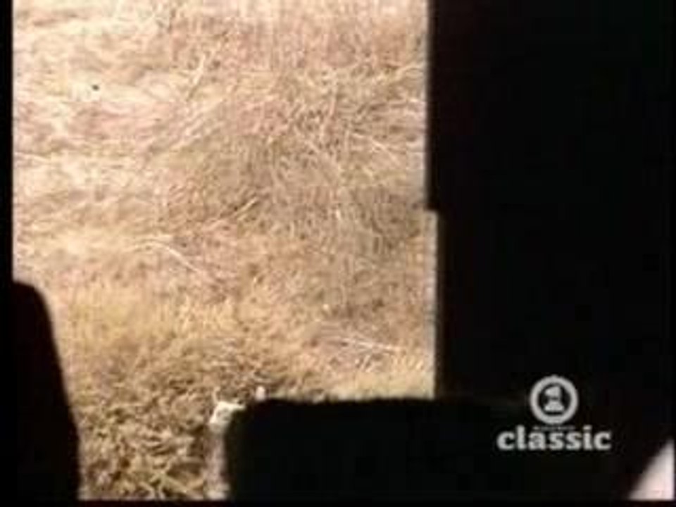 Michael Jackson - Say, say, say