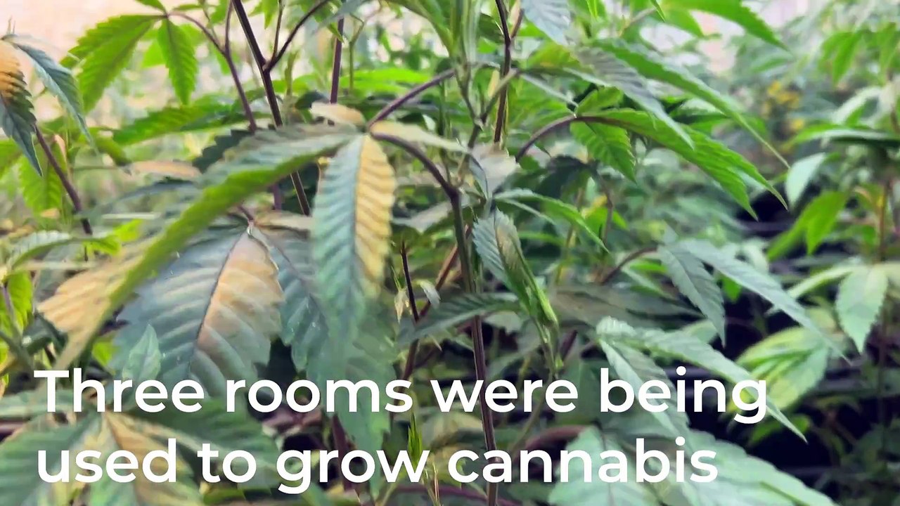 BTB Leamington Warrant v2