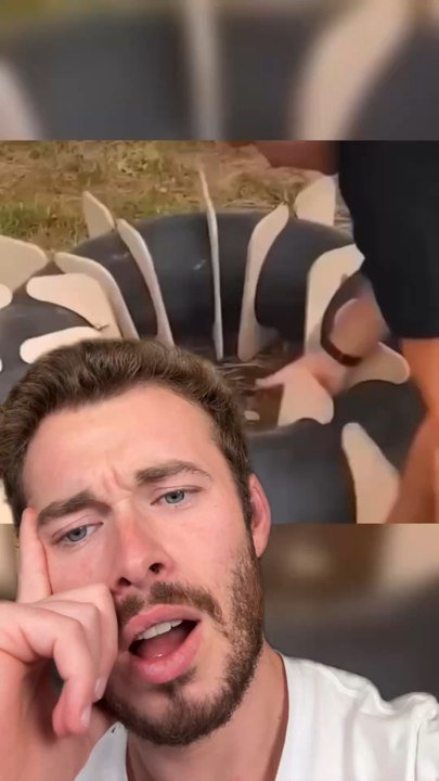 Quâest ce que sâest ?