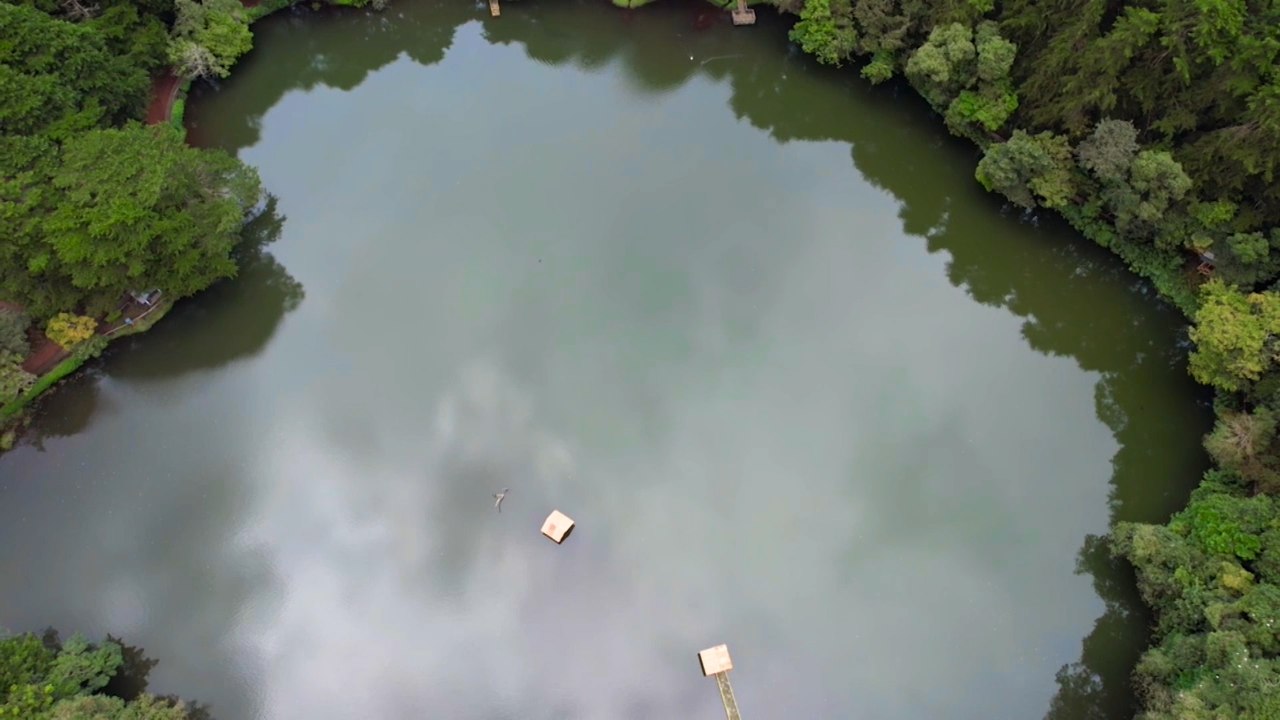 Vamos a Turistear Poás