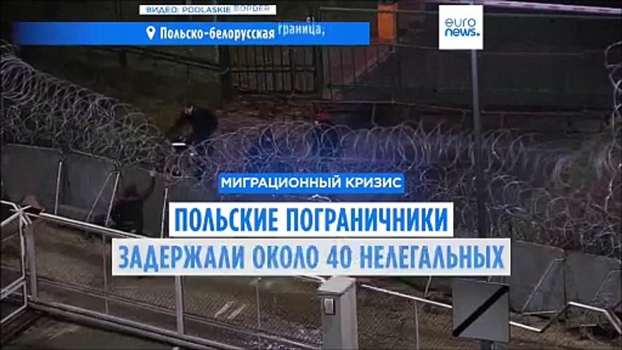 Польские пограничники задержали около 40 нелегальных мигрантов из Беларуси