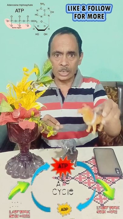 What is ATP in Biology