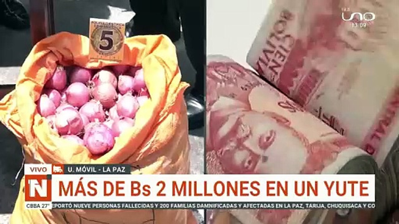 um dinero en la cebolla