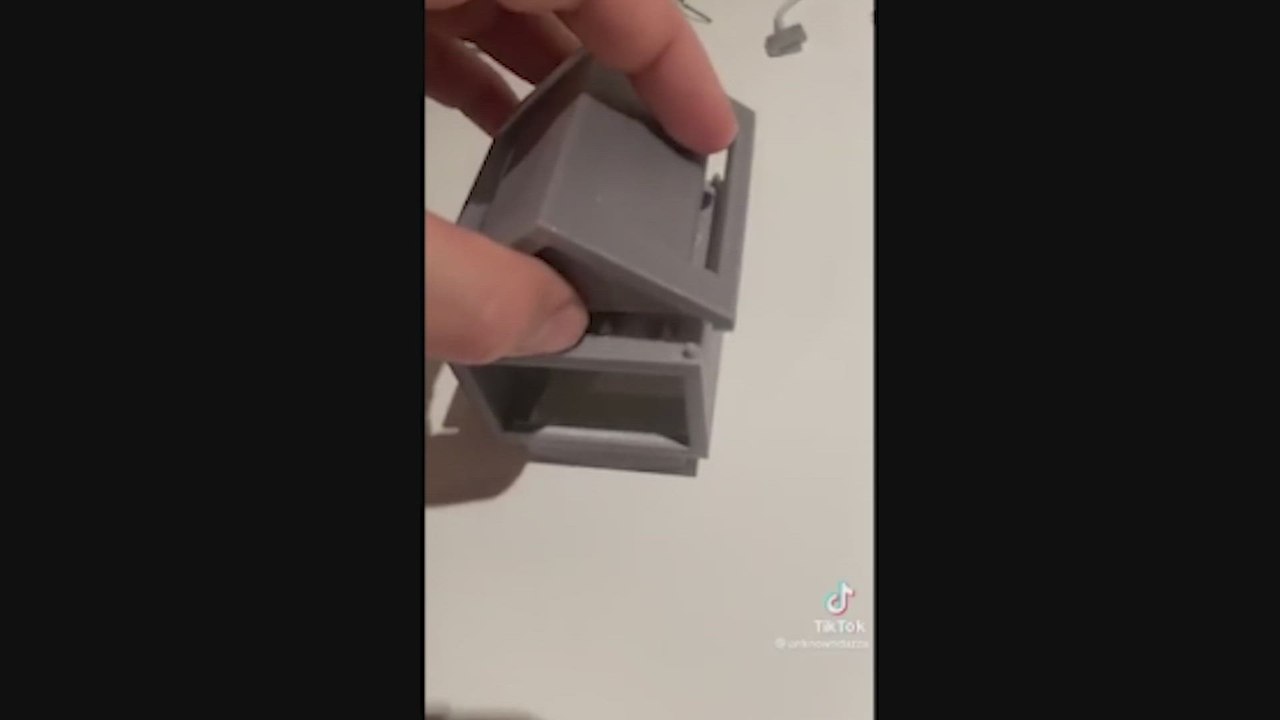 Este hombre se encuentra una rana en su jardín y la casa que le construye es una auténtica locura