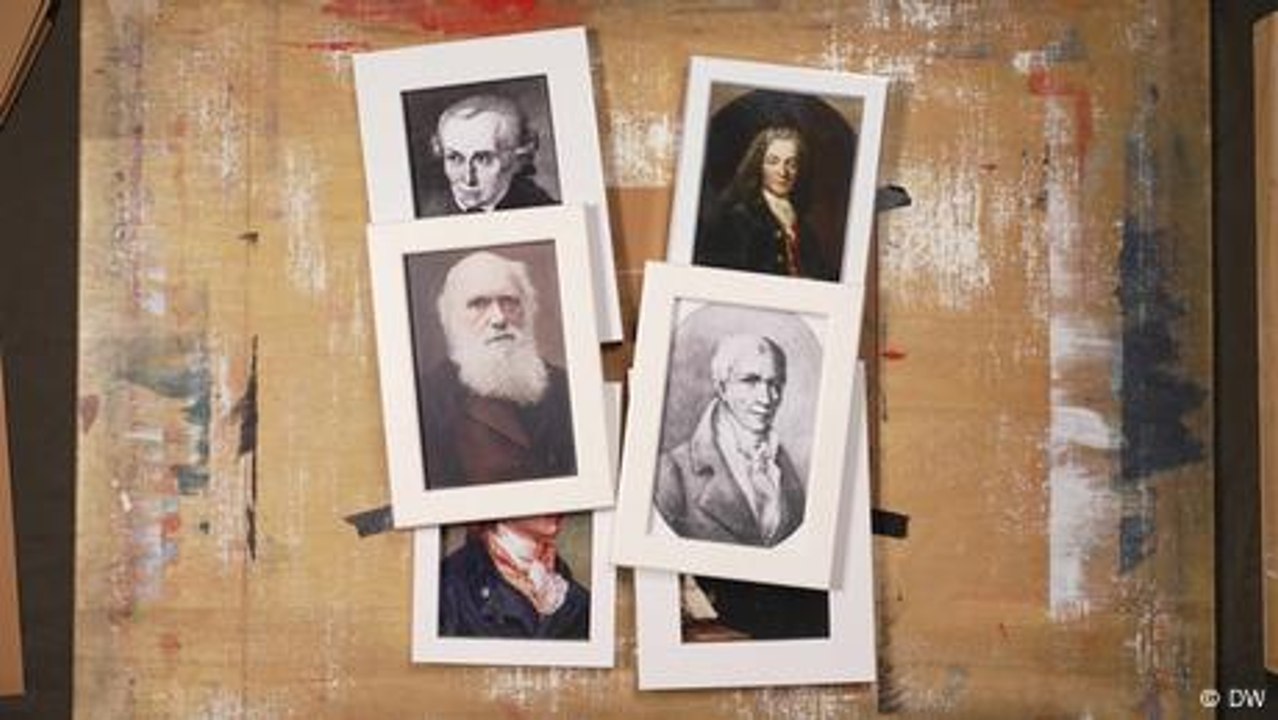 The Enlightenment and Its Connection to Racism