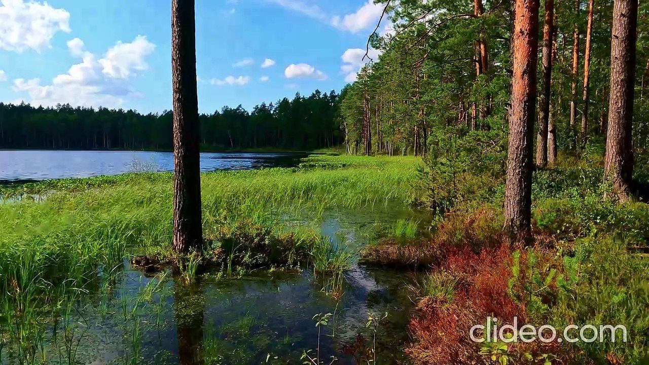 Música Relaxante para Dormir, Estudar ou Combater o Tédio