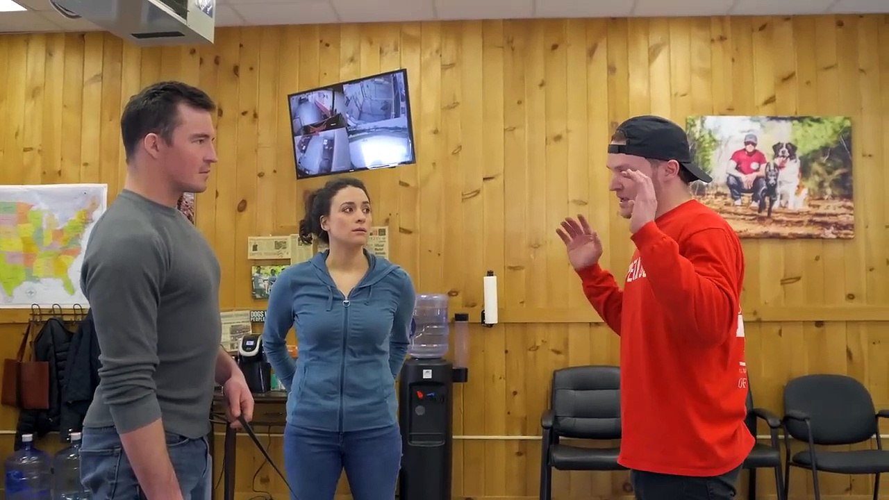 Dog training collar with remote   what is the difference between shock collar and e collar