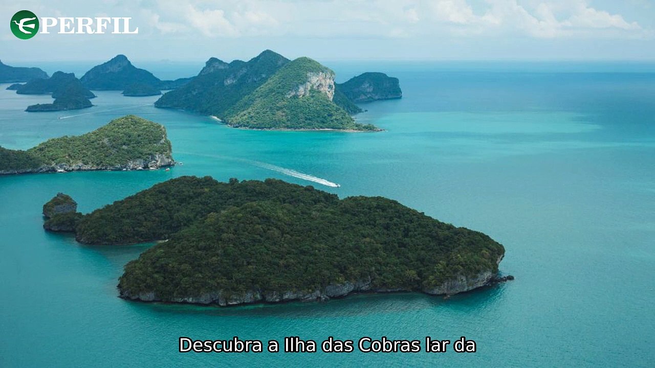 "Netflix lança série de espionagem, Google Gemini surpreende no Android em ilha tomada por cobras"