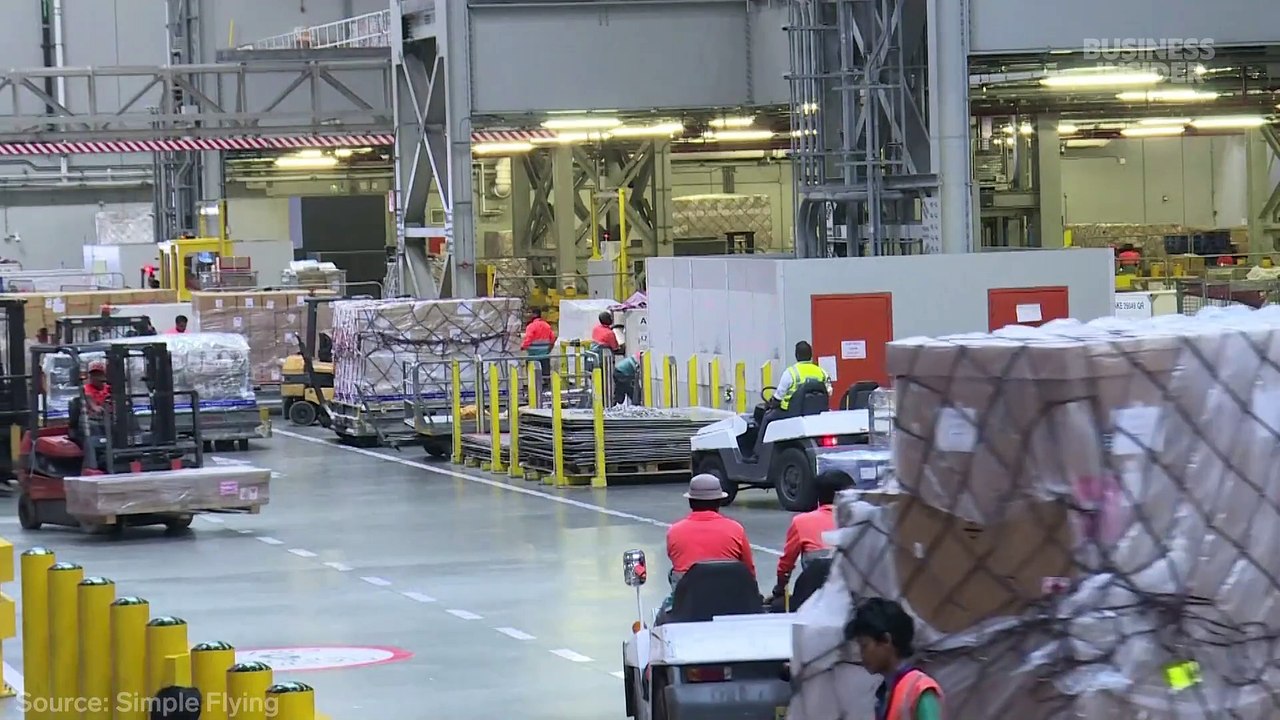 How the world's largest animal cargo hub handles 500,000 animals a year