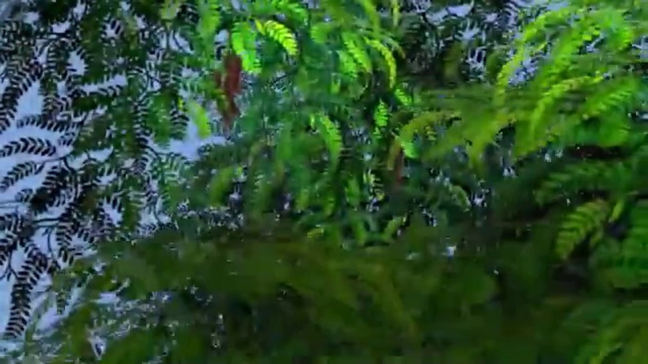 Fun & Educational Kids Animal Animation Videos 🐾