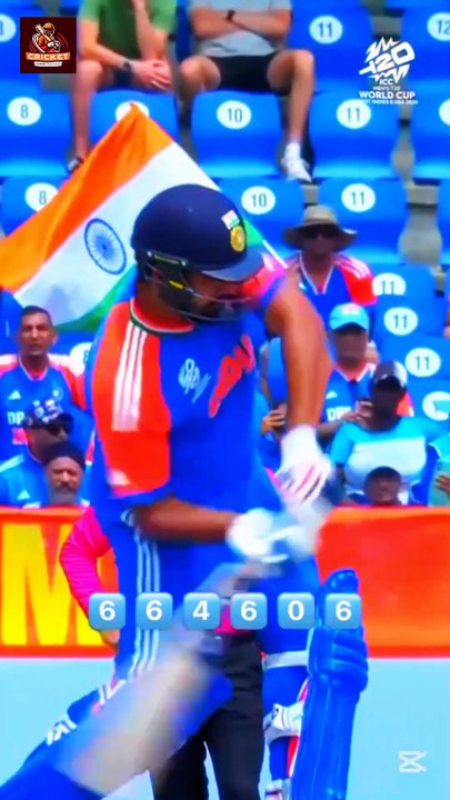 India vs Australia cricket match // cricket match live // cricket item