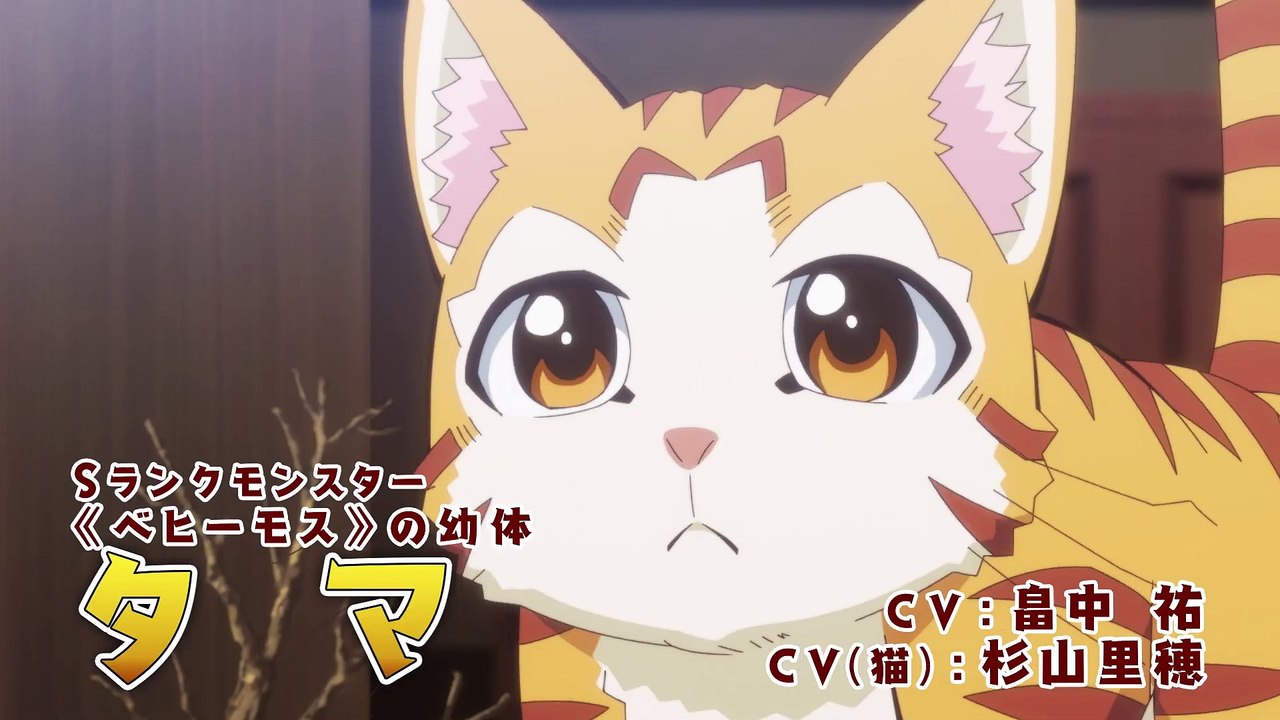 Sランクモンスターの《ベヒーモス》だけど、猫と間違われてエルフ娘の騎士（ペット）として暮らしてます | show | 2025 | Official Trailer
