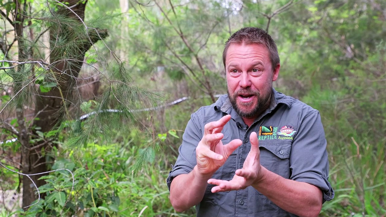 Weigel Venom Centre opening at Australian Reptile Park