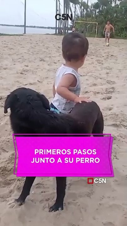¡No te pierdas lo más tierno del día! 🥰