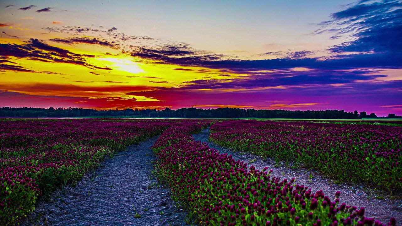 REAL 4K HDR 60FPS Dolby Vision - 4K Video ULTRA HD