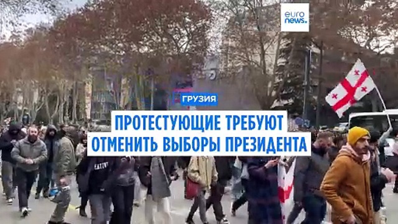 Протестующие в Грузии требуют отменить выборы президента
