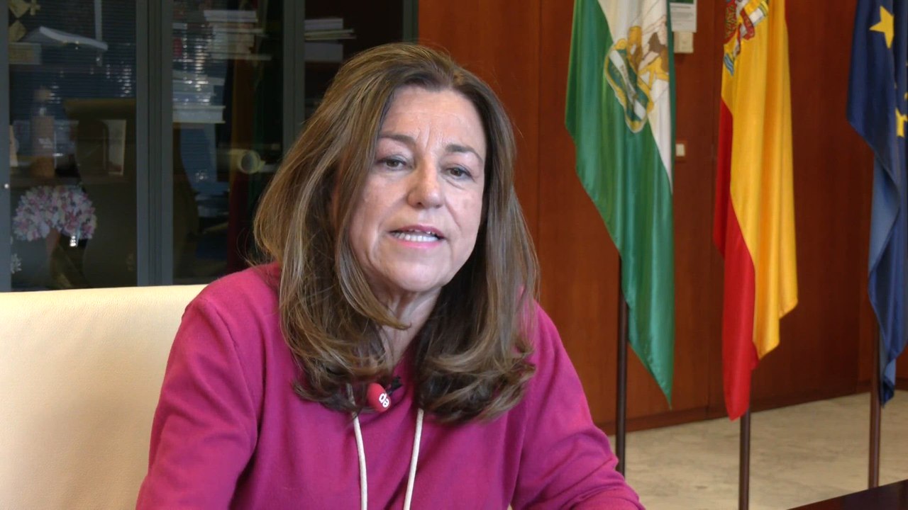 Castillo (Educación Andalucía) asegura reducción de la burocracia para el profesorado