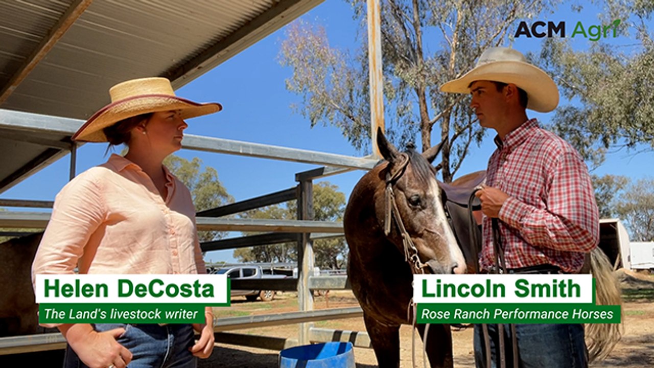 Lincoln Smith, Rose Ranch Performance Horses, Lockhart