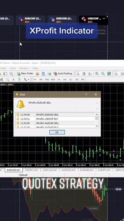 X profit indicator 2024 december