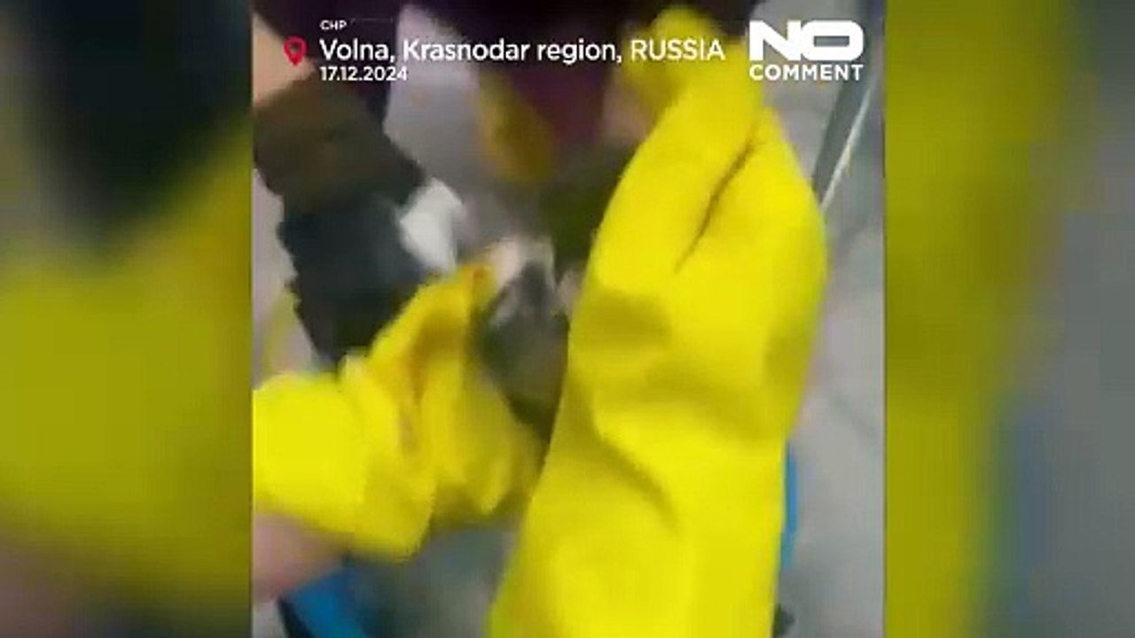 Экологическое бедствие из-за аварии танкеров с мазутом в Черном море