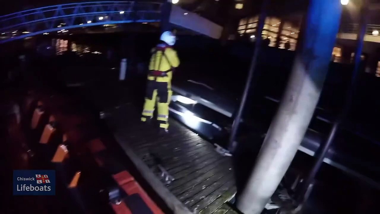 Radio DJ Jordan North rescued from River Thames after saving dog