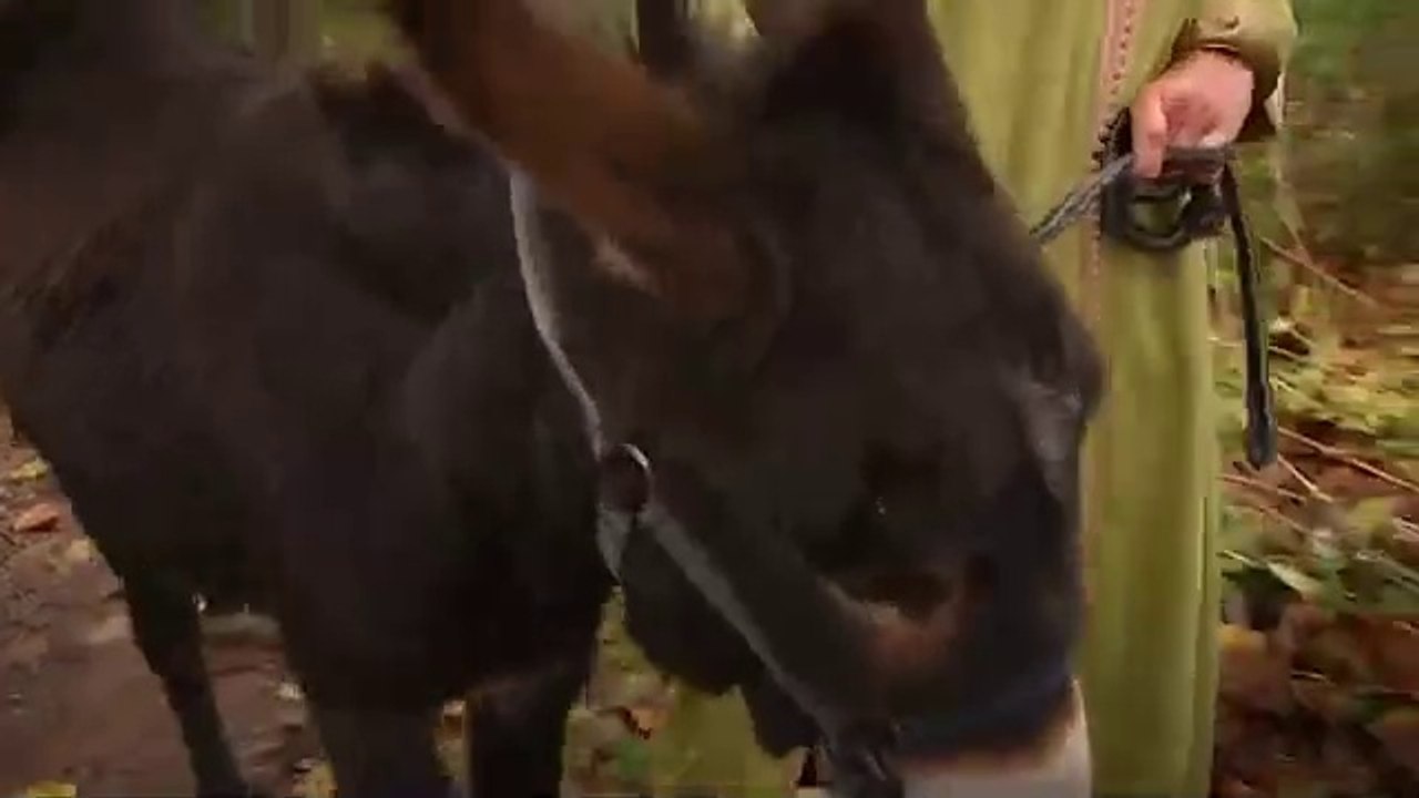 Camilla Plum julespecial |S1|E1-2|2009| DRTV