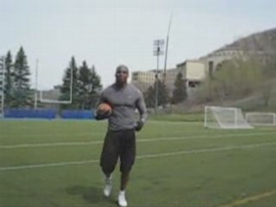 Nfl fantasy : deon manel