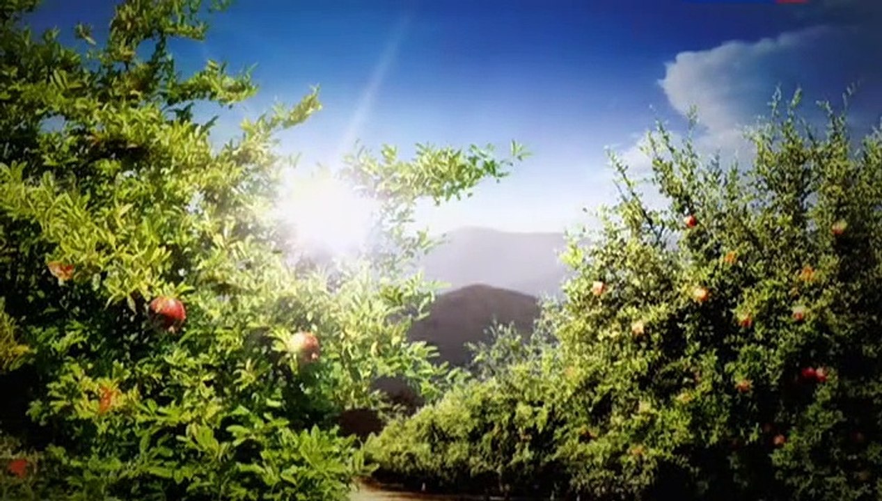 Vkus granata 14 seriya.