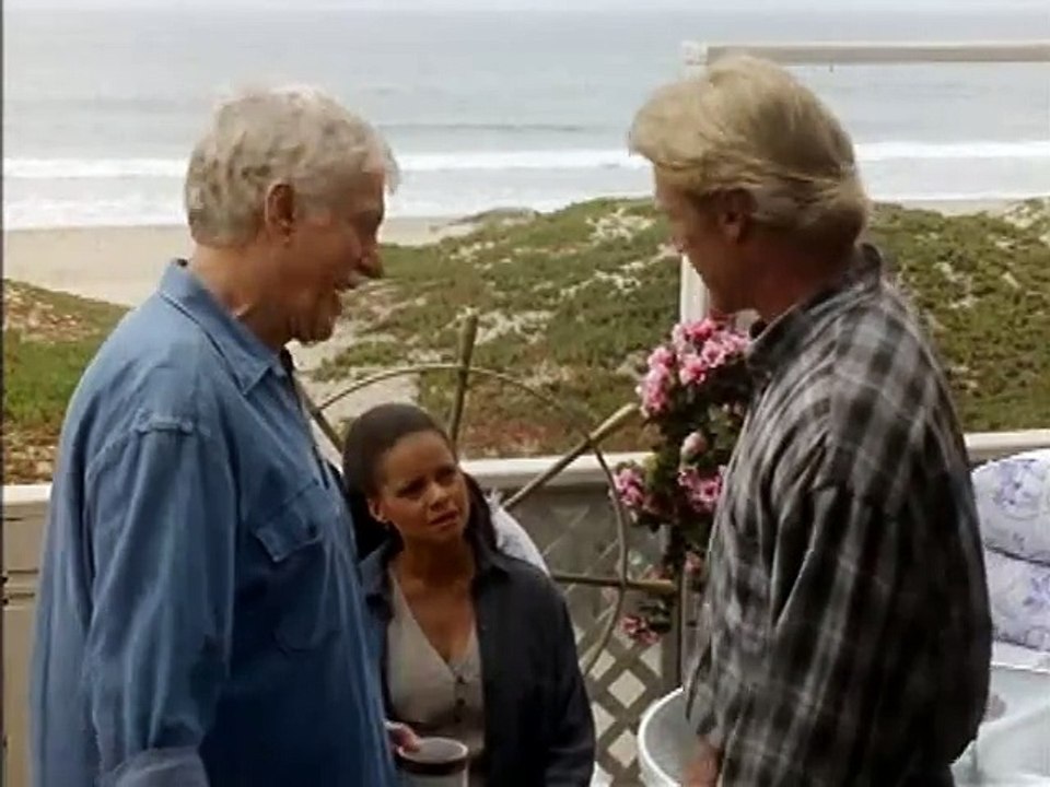 Diagnosis Murder S03e02 Witness To Murder
