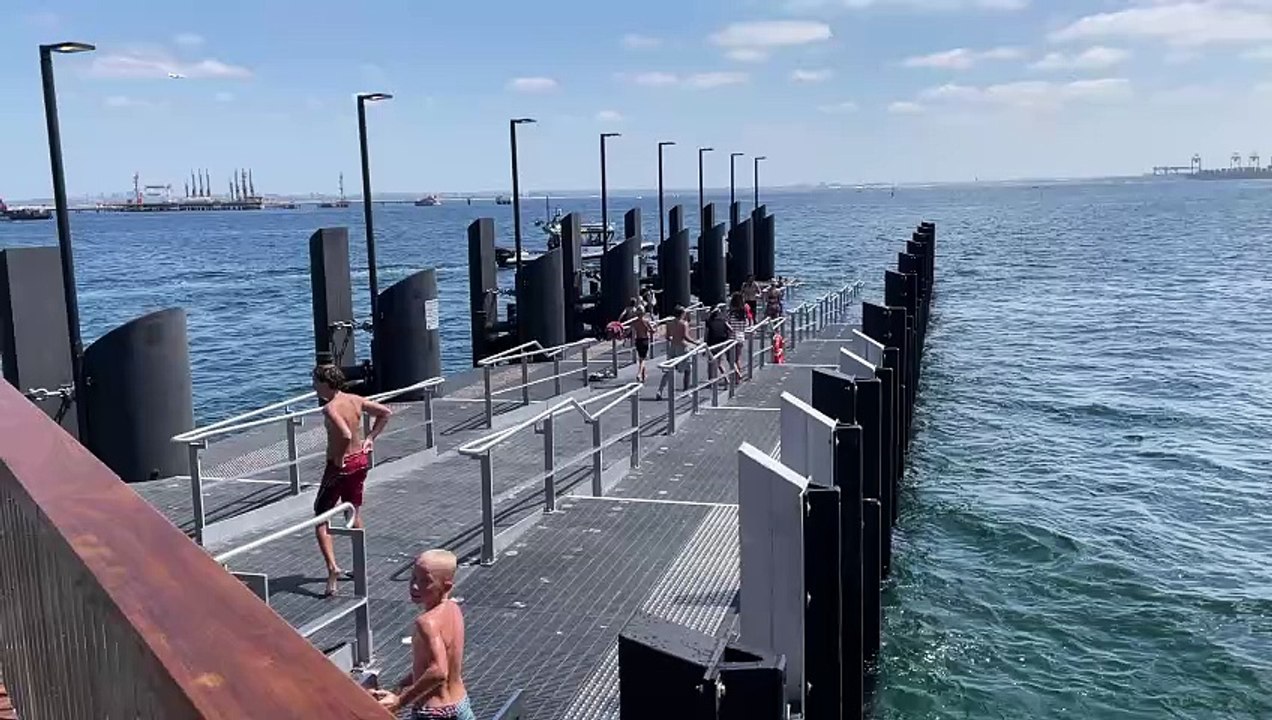 Kurnell wharf excitement