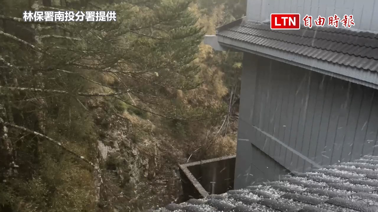 南投合歡山下冰雹 松雪樓現另類「雪景」（林保署南投分署提供）