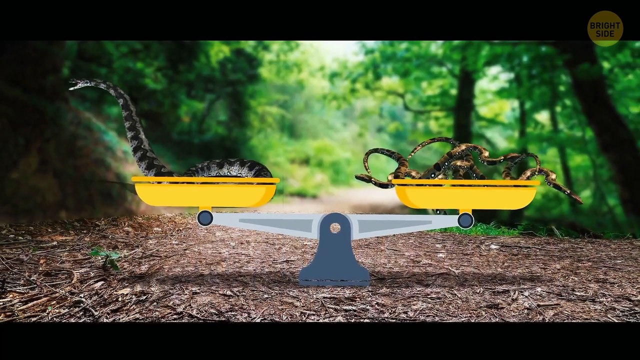 30 Archaeological Finds That Raised Even More Questions