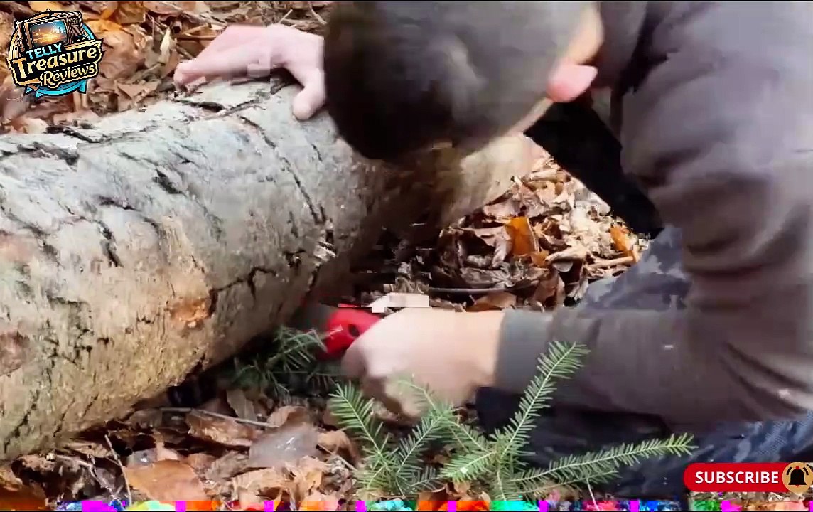 🏕️ Building the Perfect Log Cabin in a Snowy Forest ❄️ | Wild Construction Adventure! 🌲