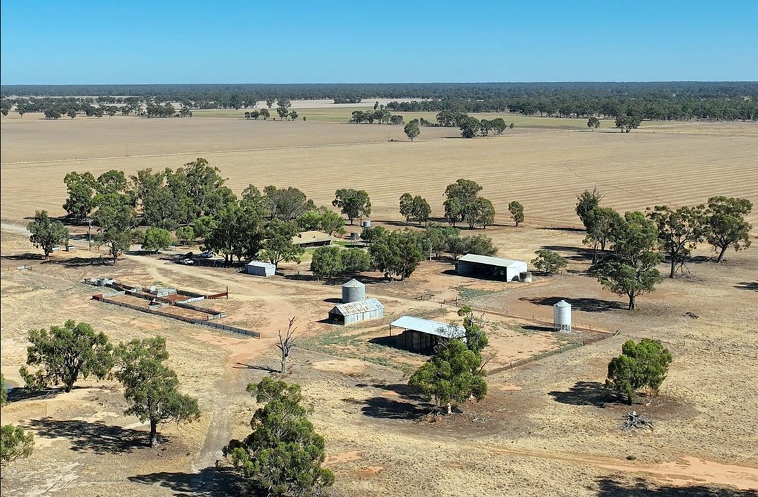 Brown aggregation at Yalca in northern Victoria for sale.