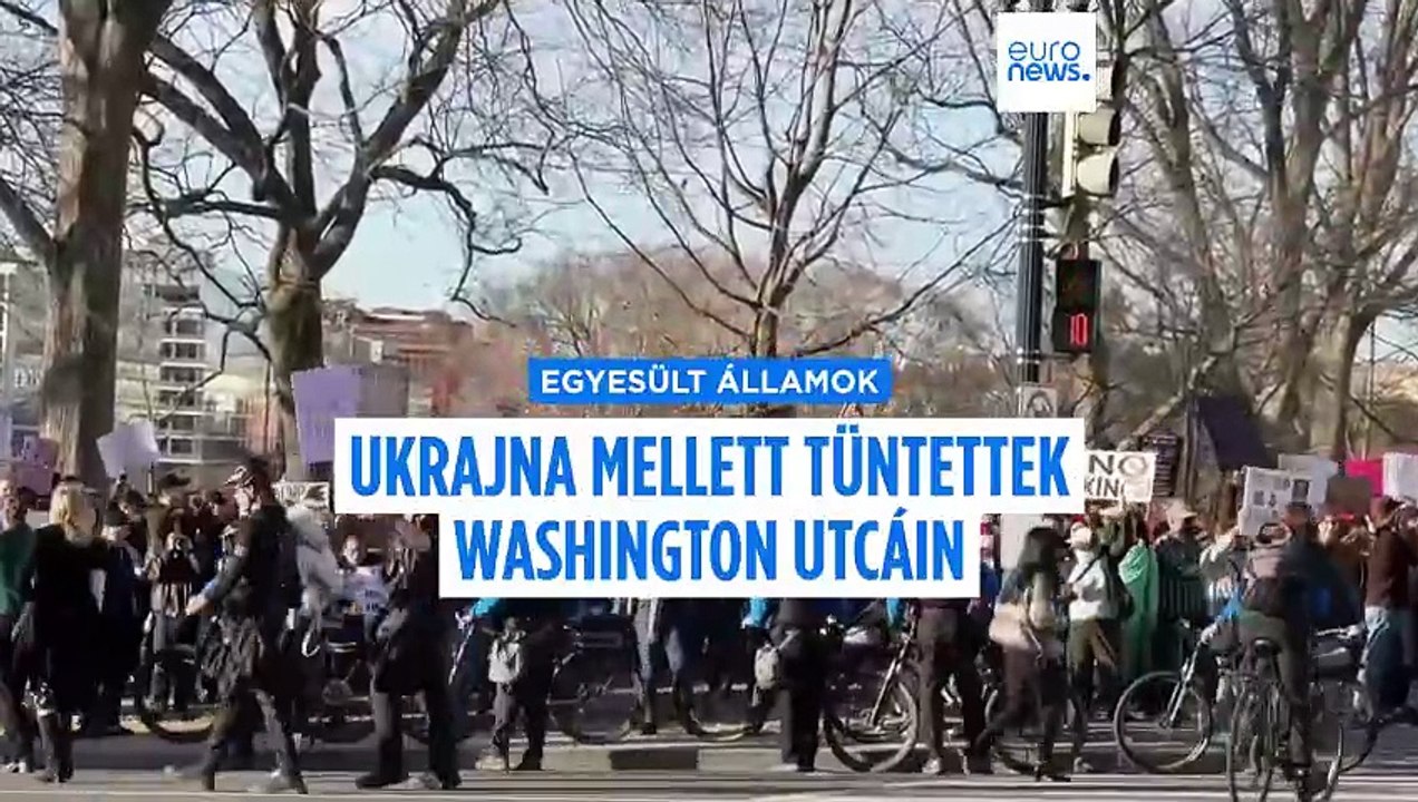 Ukrajna mellett tüntettek Washingtonban