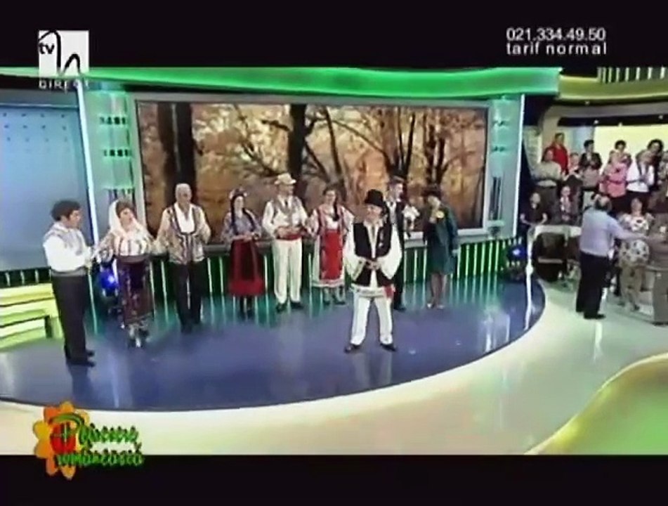 Stelian Hristea - Hai, hai, hai, murgule, hai (Petrecere romaneasca - Tvh - 26.10.2013)
