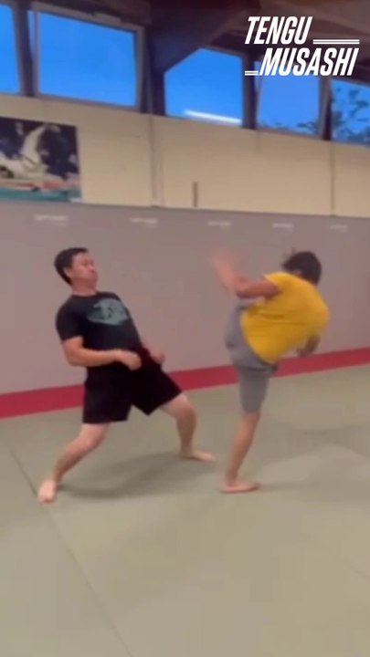 test fight spiderman stunt