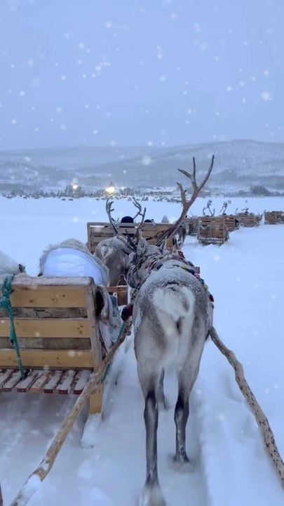 LE NOUVEAU polar express