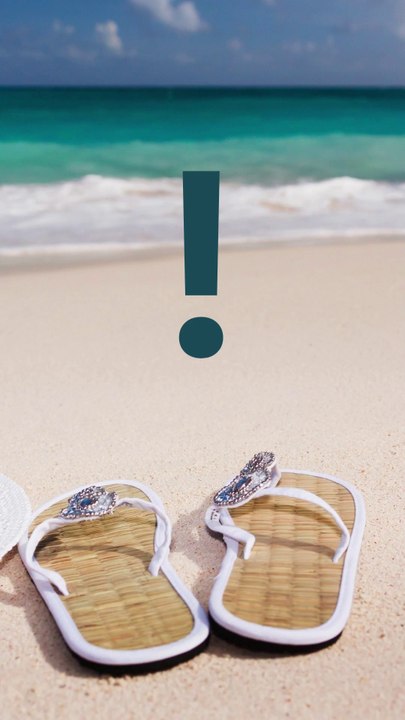 MONEY EARNING  2025 !