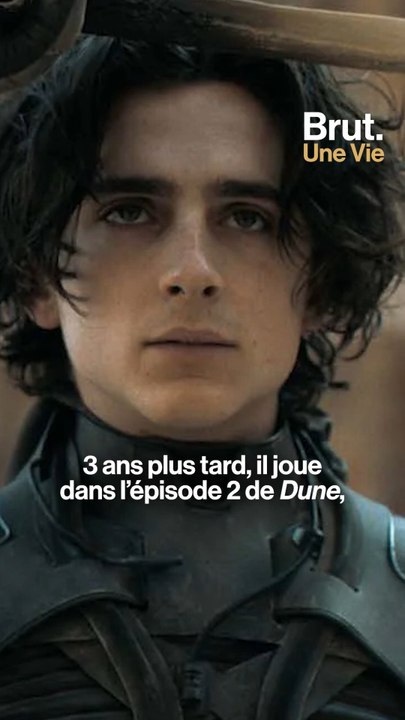 Une vie : Timothée Chalamet