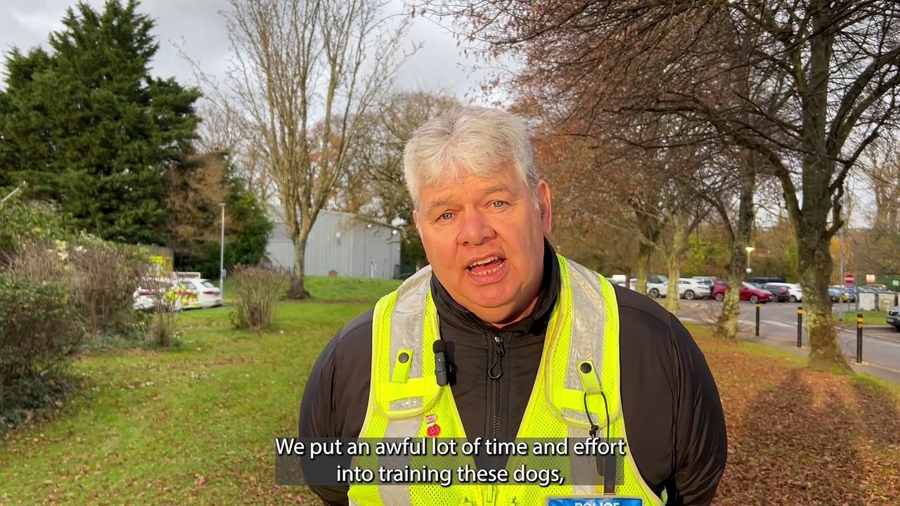 The Joint Operations Dog Support Unit proves its worth in 2024