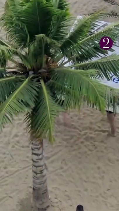 Las plácidas vacaciones de Uribe en las playas de Coveñas