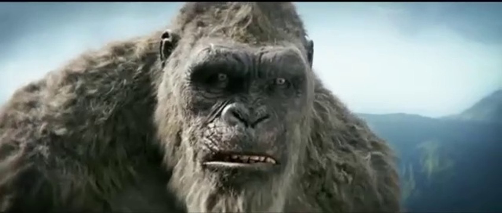 2024 BEST ACTION SCENES